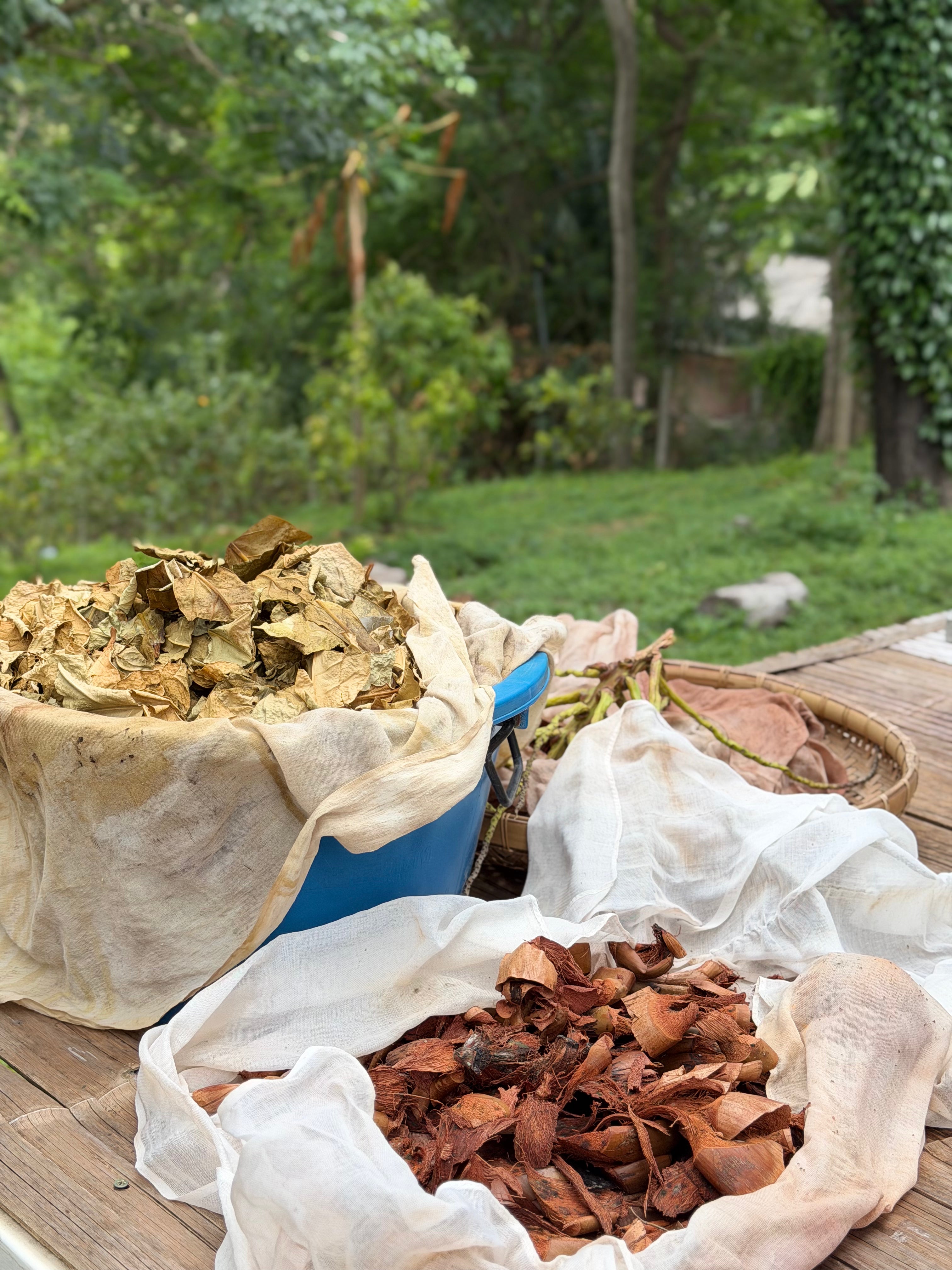 A rustic outdoor scene showing dried botanical materials, including brown bark or leaves in a white cloth-lined basket and a blue container, with more dried material in a woven tray, set on a wooden table with a blurred green garden background.